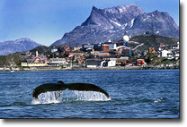 Nuuk Greenland