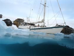 australis split Antarctica