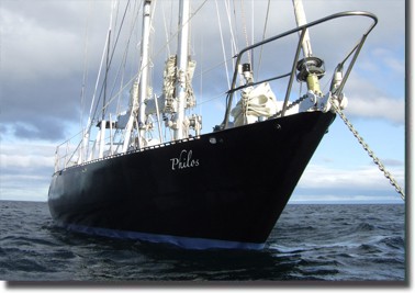 philos waterline Philos