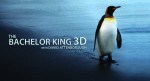 Bachelor King 3D Poster 150x81 Supported by Australis The Bachelor King in 3D with David Attenborough goes to air